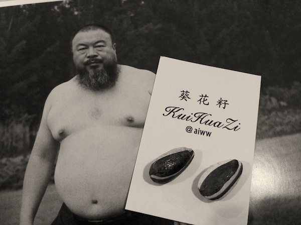 aiww 艾未未 葵花籽